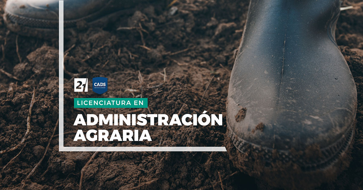 SUPERIOR CADS - Licenciatura en Administración Agraria, Universidad Siglo 21